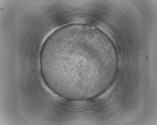 X0000074970939200609291934