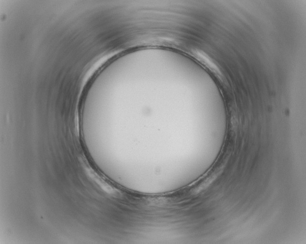 X0000074970940200609291934