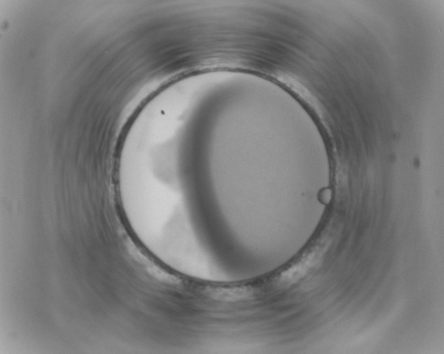 X0000074970941200609291934