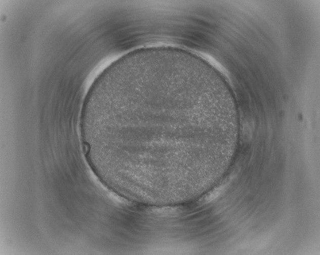 X0000074970943200609291934