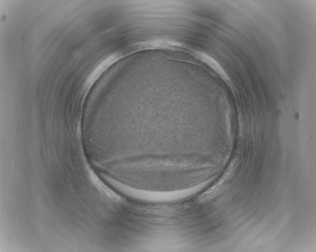 X0000074970946200609291934