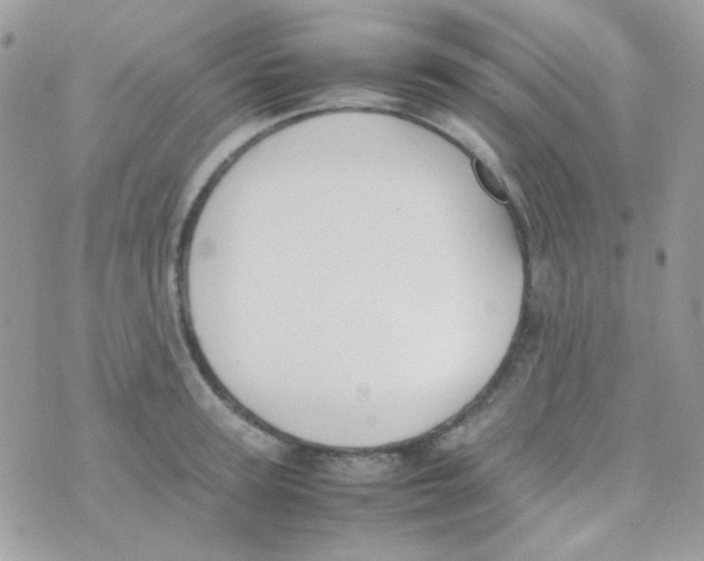 X0000074970947200609291934