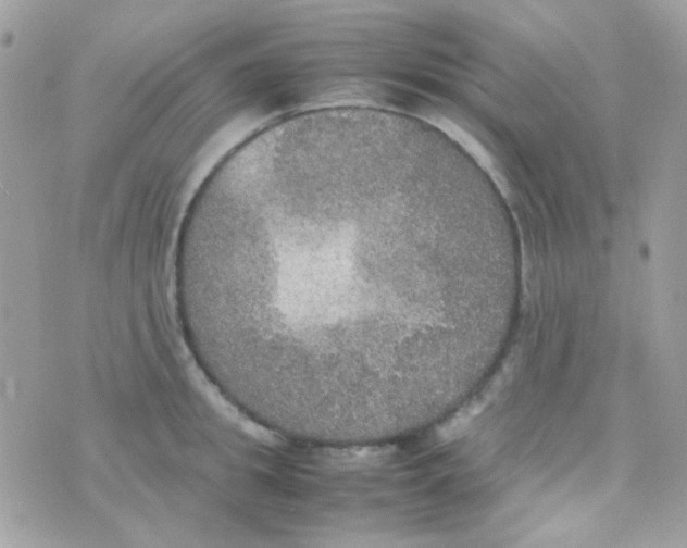 X0000074970949200609291935