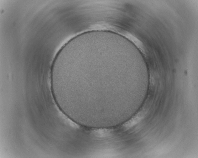 X0000074970950200609291935