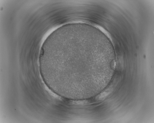 X0000074970951200609291935