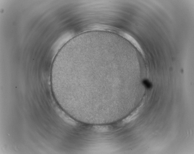 X0000074970954200609291935