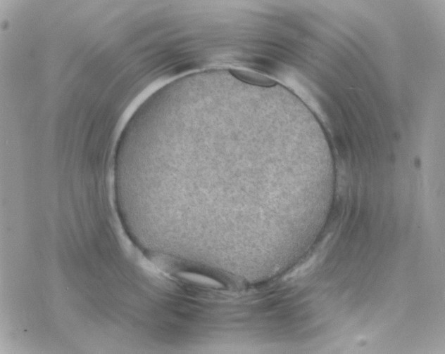 X0000074970955200609291935