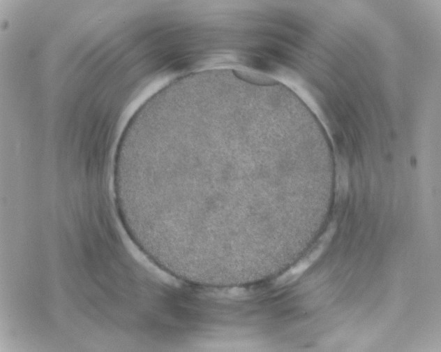 X0000074970957200609291935