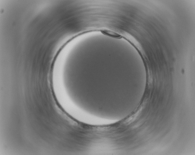 X0000074970958200609291935