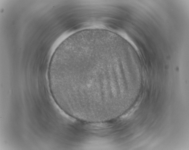 X0000074970959200609291935