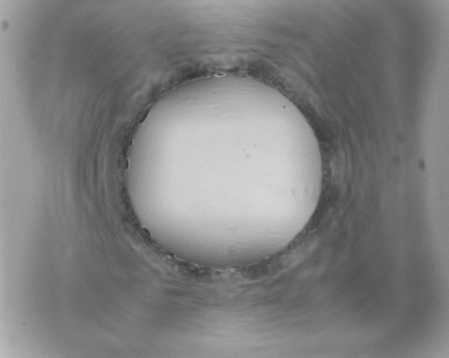 X0000074970961200609291934