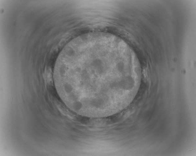 X0000074970963200609291934