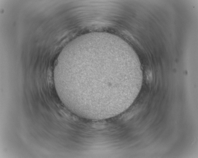 X0000074970964200609291934