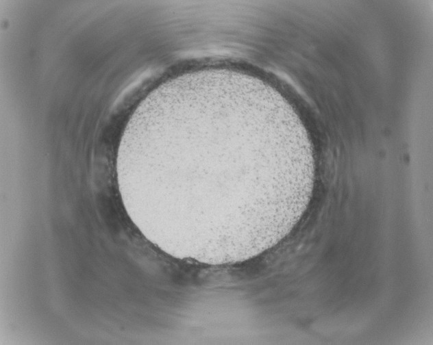 X0000074970967200609291934