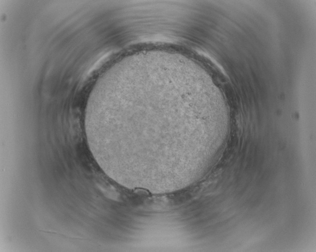 X0000074970968200609291934