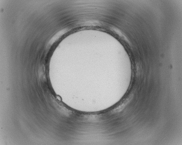 X0000074970970200609291934