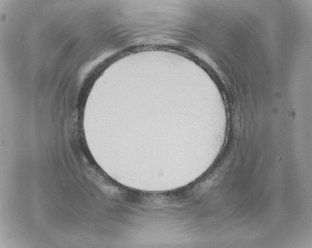 X0000074970971200609291934