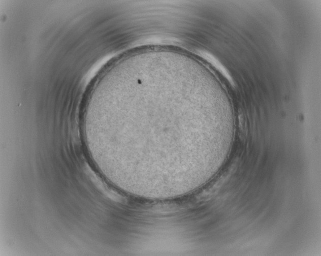 X0000074970972200609291934