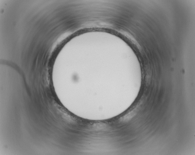 X0000074970974200609291934