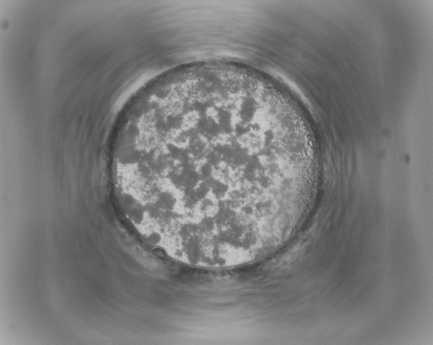 X0000074970975200609291934