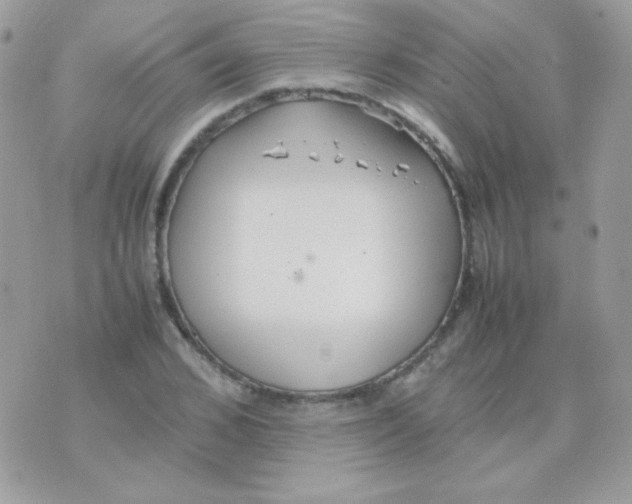 X0000074970976200609291934