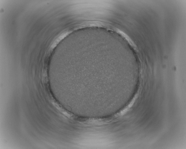 X0000074970977200609291934