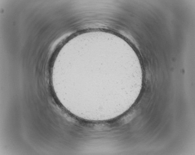 X0000074970979200609291934