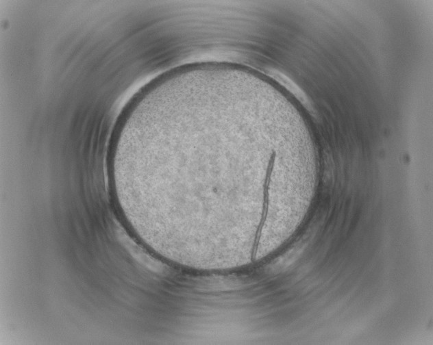 X0000074970980200609291934