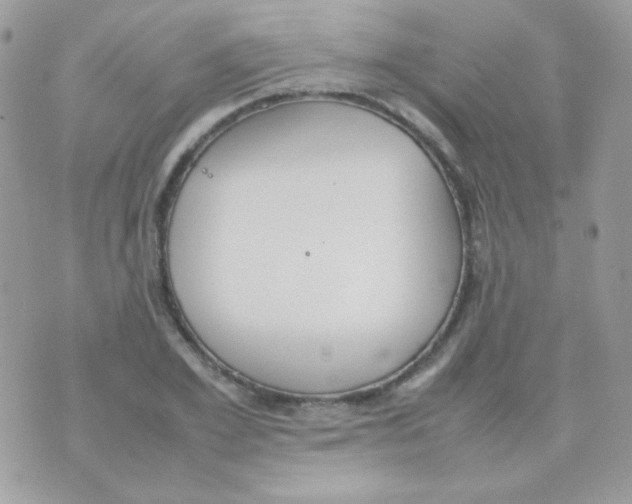 X0000074970981200609291934