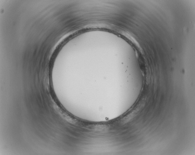 X0000074970984200609291934