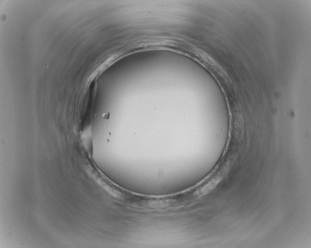 X0000074970985200609291934