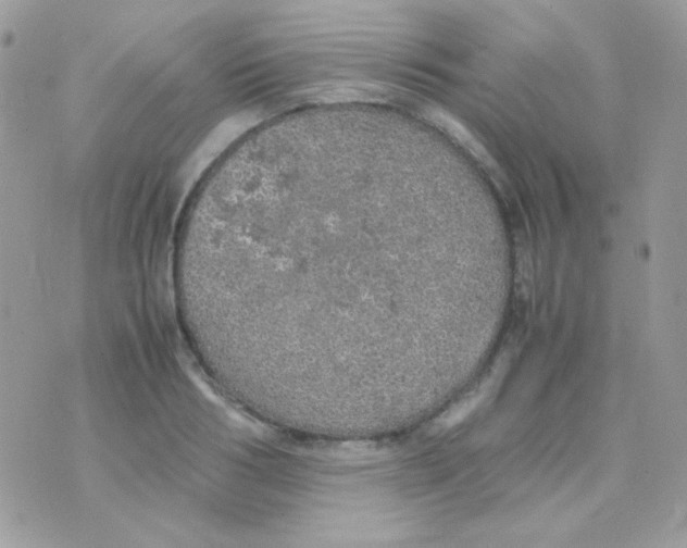 X0000074970986200609291933