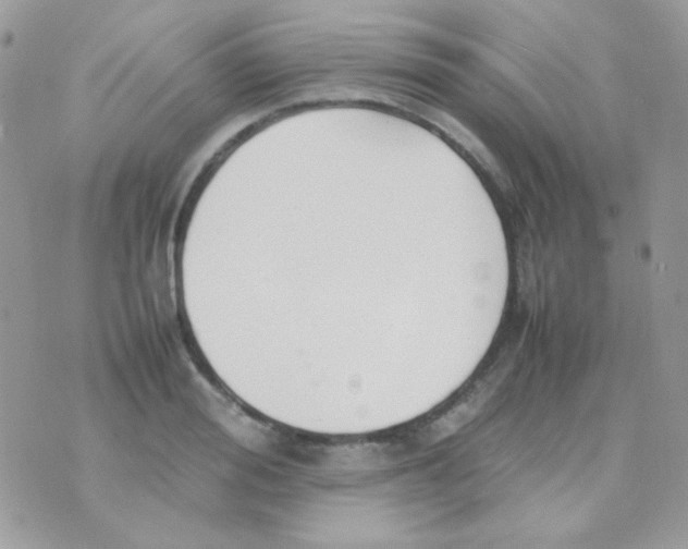 X0000074970988200609291933