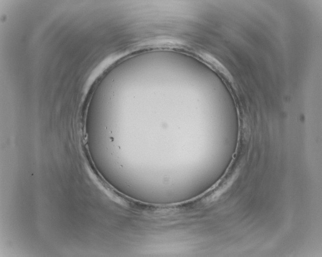 X0000074970989200609291933