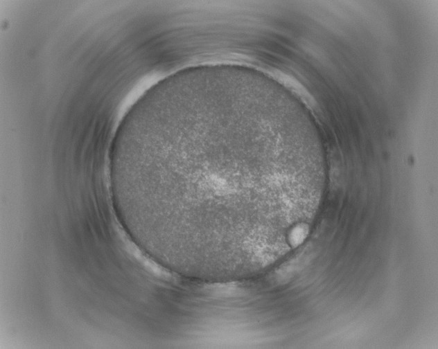 X0000074970990200609291933