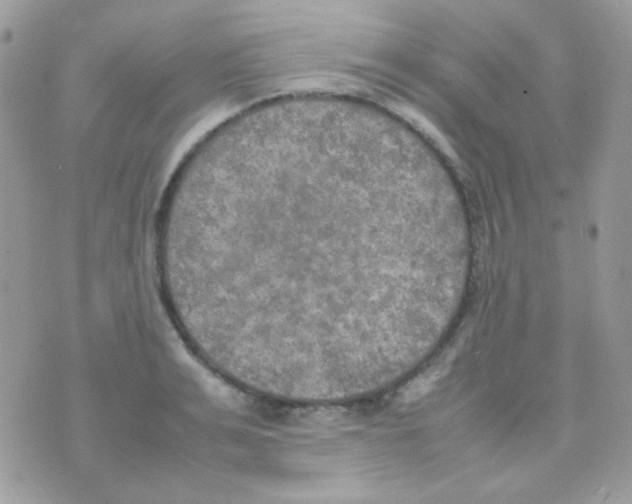 X0000074970991200609291933