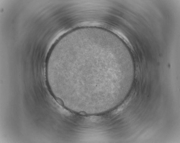 X0000074970992200609291933