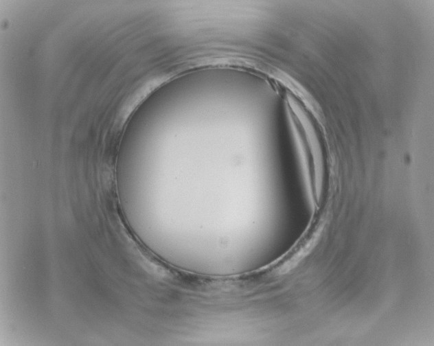 X0000074970993200609291933