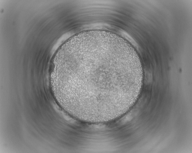 X0000074970994200609291933