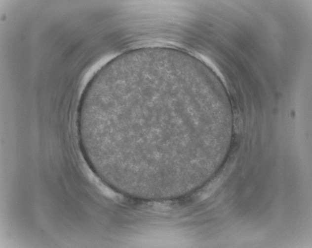 X0000074970995200609291933