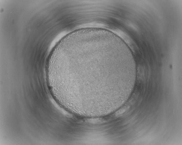 X0000074970998200609291933