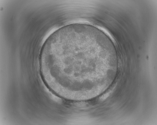 X0000074970999200609291933