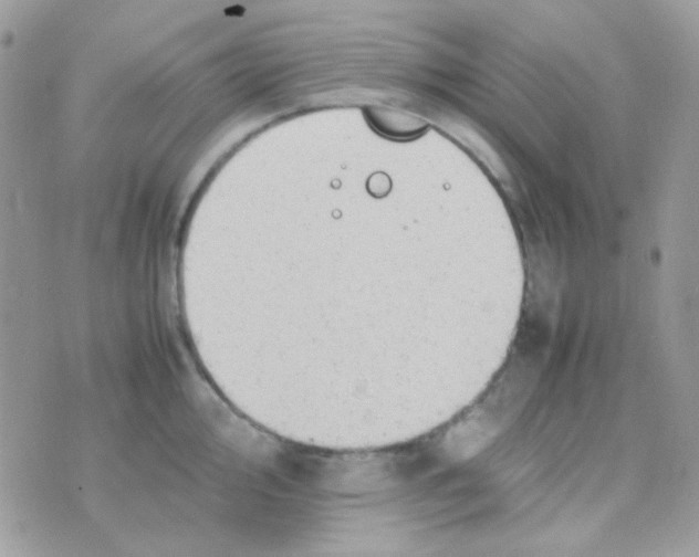 X0000074971000200609291933