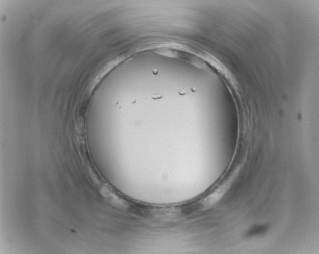 X0000074971001200609291933