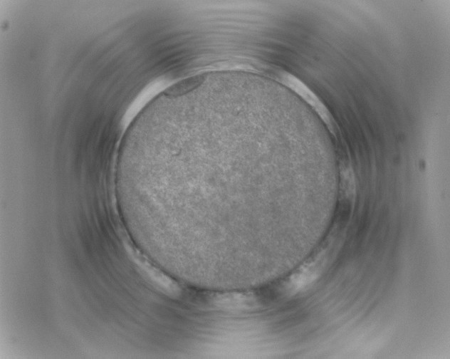 X0000074971002200609291933