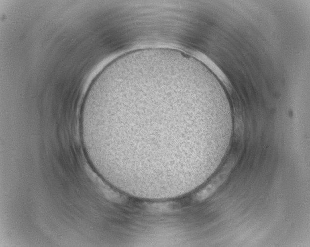 X0000074971004200609291933