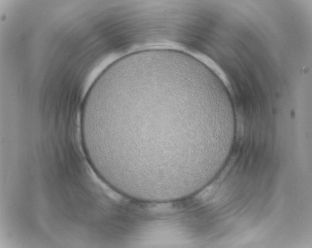 X0000074971006200609291933