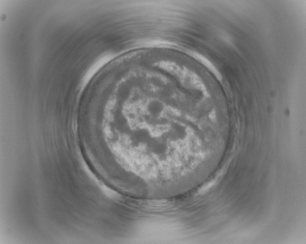 X0000074971007200609291933