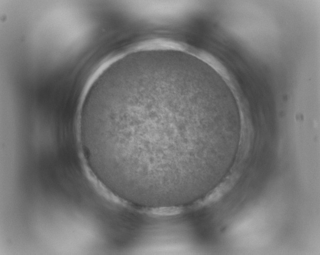 X0000074971008200609291933