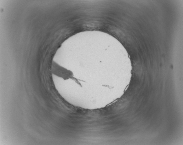 X0000074971009200609291932